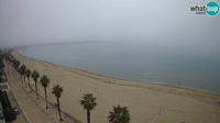 Roses - Santa Margarita Beach
