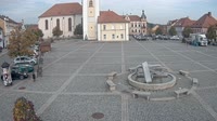 Dobřany - Náměstí, biotop