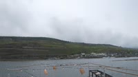 Bingen am Rhein - View of the Rhine