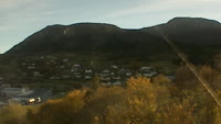 Torvikbukt - Reinsfjellet