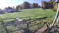 Miniatiūra