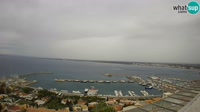 Roses - Porto