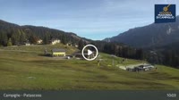 Madonna di Campiglio - Patascoss, Grostè
