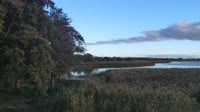 Dąbki - Lago Bukowo
