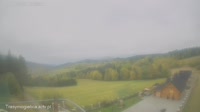 Zalesie - Mogielnica