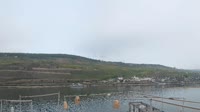 Bingen am Rhein - Vista del río Rin