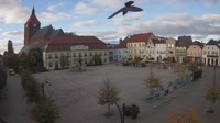 Kolekcija