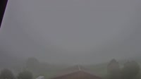 Root - Panoramic view