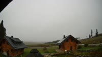 Oberharz am Brocken - Tanne