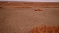 Park Narodowy Doñana - Caño de Rosalimán