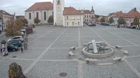 Dobřany - Náměstí, biotop