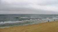 Vignette