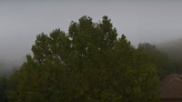 Bosia - Panorama