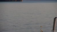 Capodimonte - Lake of Bolsena