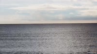 Albissola Marina - Beach