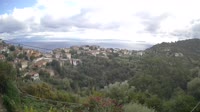 Cinuria - Pera Melana
