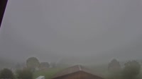 Root - Vista panoramica