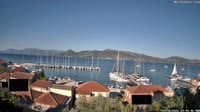 Palero - Marina
