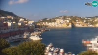 Ponza - Harbour