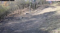 Veszprém - Bird feeders