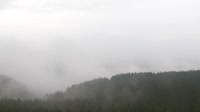 Schneekopf - Bosque de Turingia