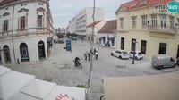 Miniaturka