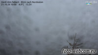 Heidi Alm Falkert - Blick nach Nordosten
