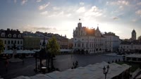 Vignette