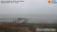 Husum - Dockkoog