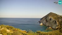 Ponza - Cala Cecata