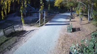 Forest Park