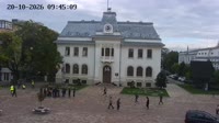 Miniatura