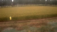 Jurong - Farmland