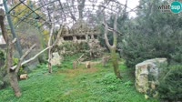 Zagabria - Zoo - avvoltoi grifoni