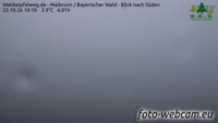 Maibrunn - Las Bawarski