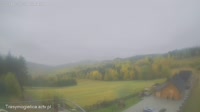 Zalesie - Mogielnica