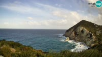Ponza - Cala Cecata