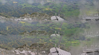 Grödig - Berchtesgadener Alpen - Gipfelkreuz Geiereck