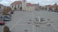 Dobřany - Náměstí, biotop