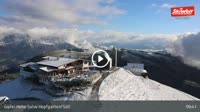 Hopfgarten im Brixental - Gipfel Hohe Salve