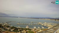 Roses - Port