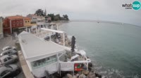 Novigrad - Porporela