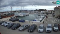 Novigrad - Porporela Marina