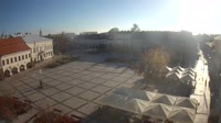 Rynek