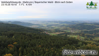 Maibrunn - Waldwipfelweg - Bavarijos miškas