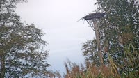 Grabenstätt - Winkl - Gandrai
