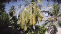 Akasdhoo - Hard Rock Hotel Maldives