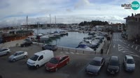 Novigrad - Porporela Marina