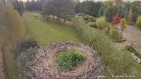 Strzelce - Cicogne