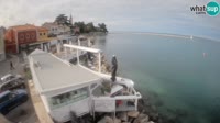 Cittanova - Porporela
